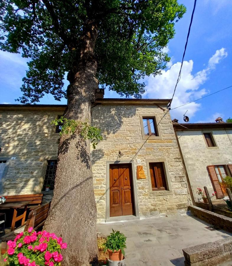 דירות סנטה סופיה Casina La Quercia מראה חיצוני תמונה