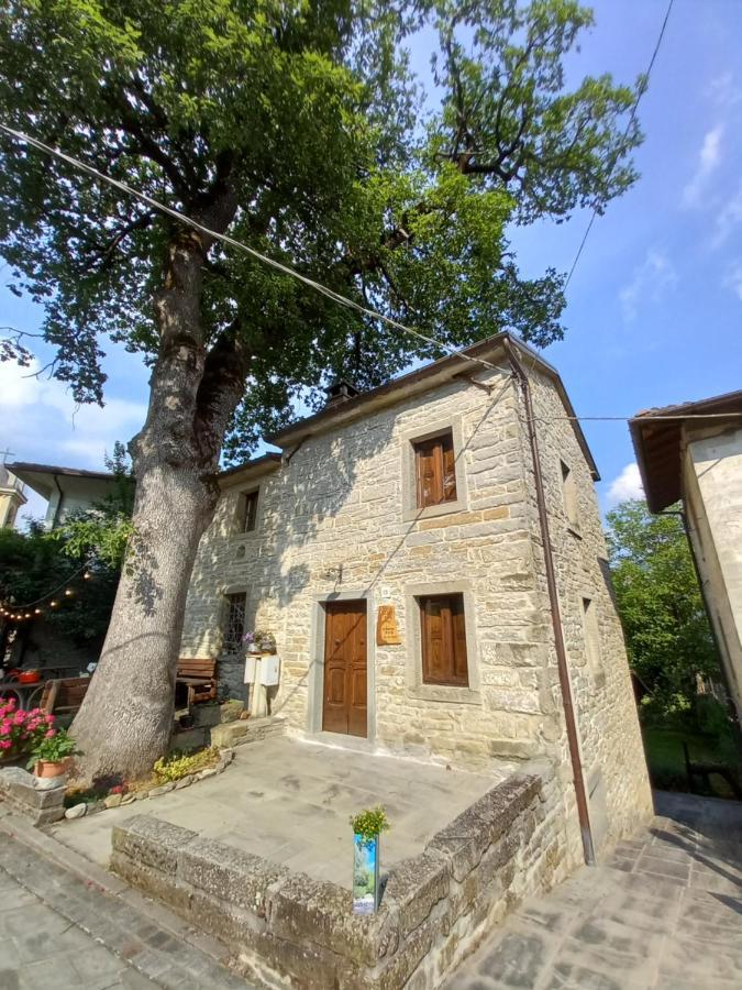 דירות סנטה סופיה Casina La Quercia מראה חיצוני תמונה